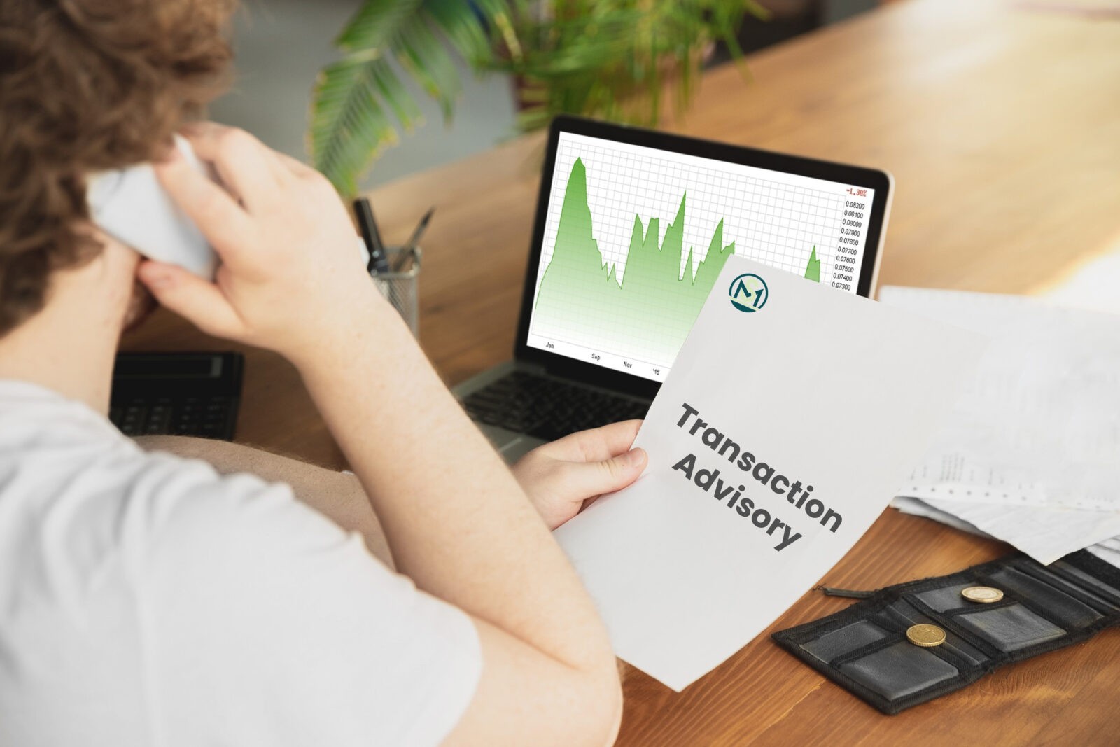Transaction Advisory