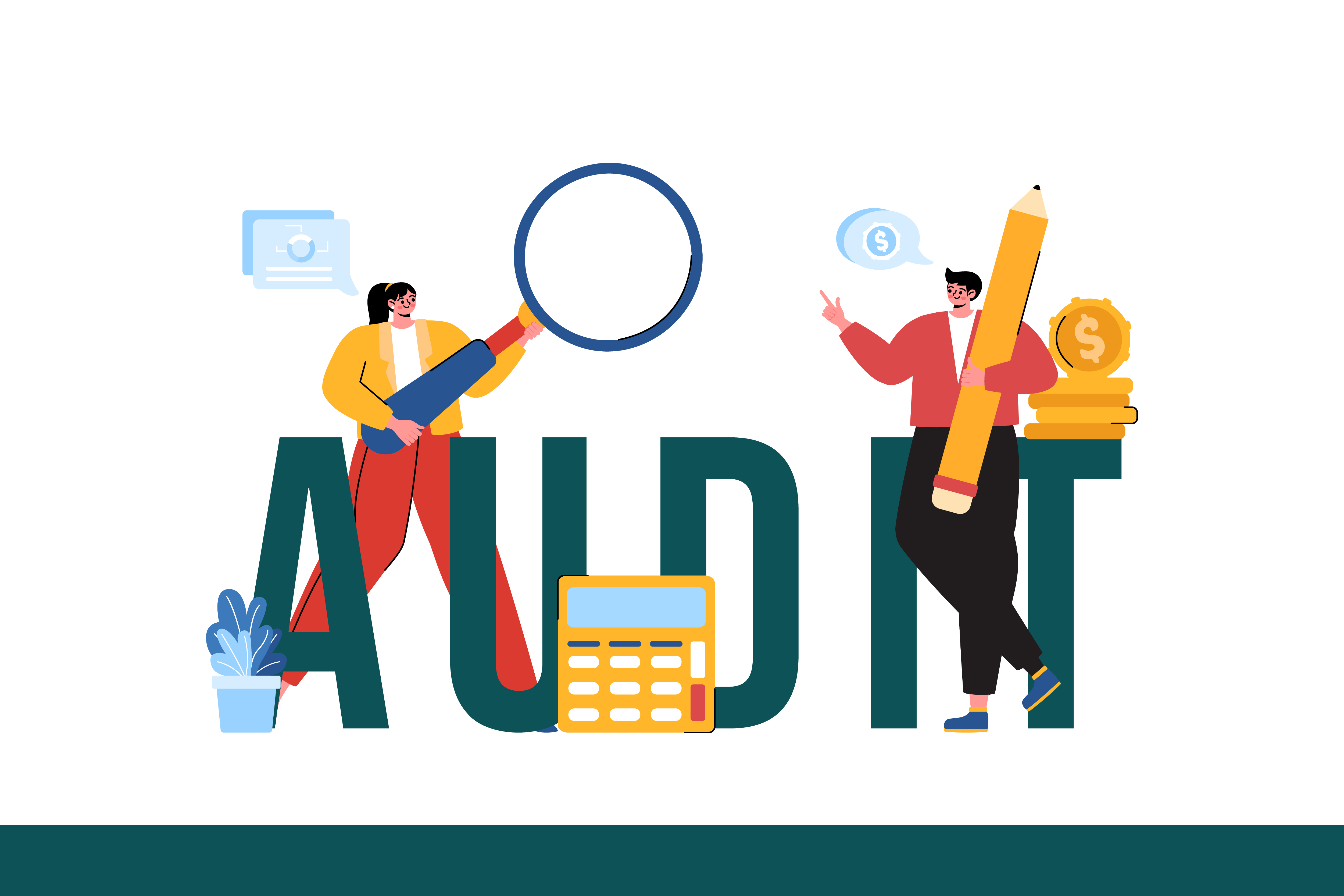 Tax Audit 