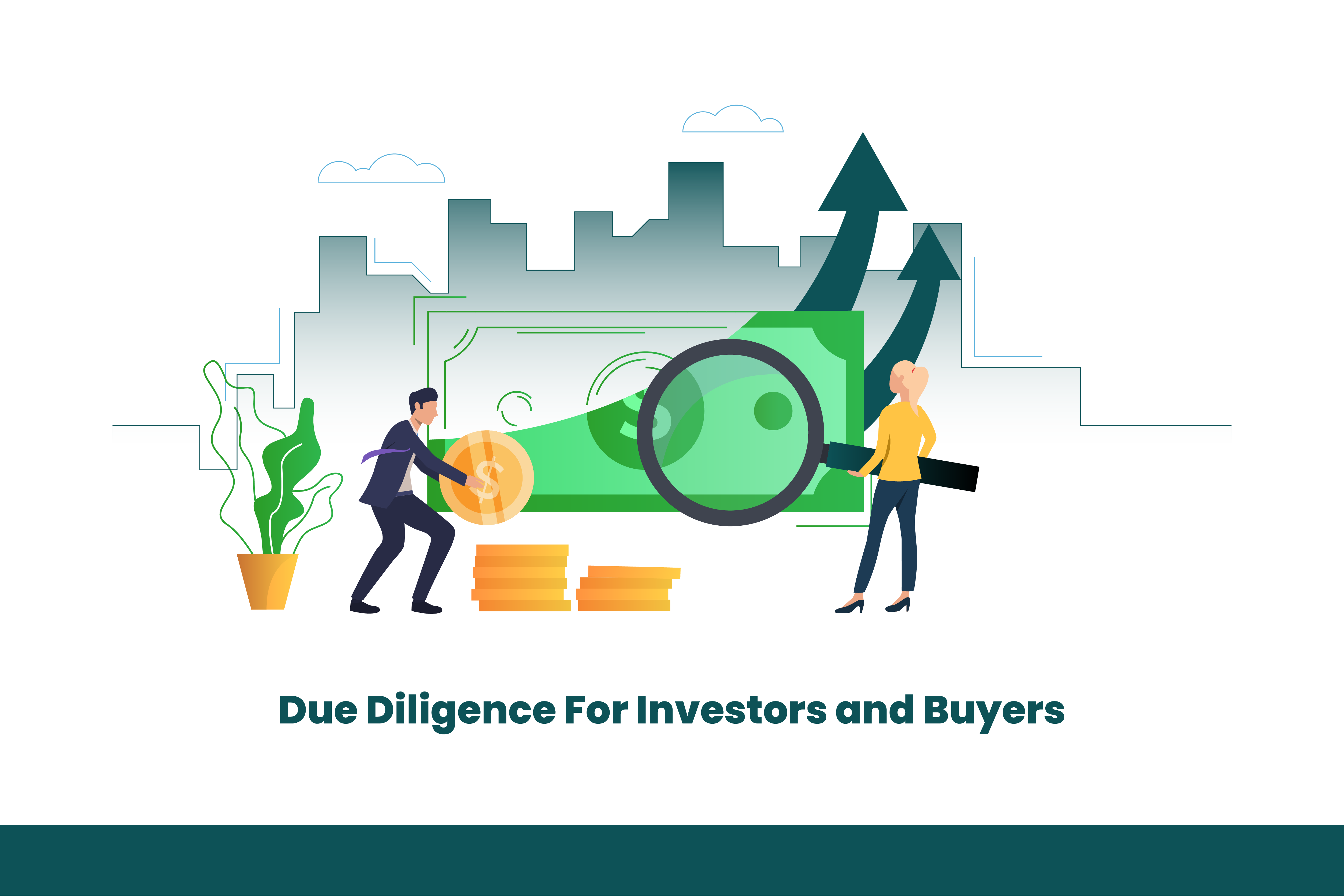 Financial Due Diligence checklist for investors and buyers - M Safdar FCA